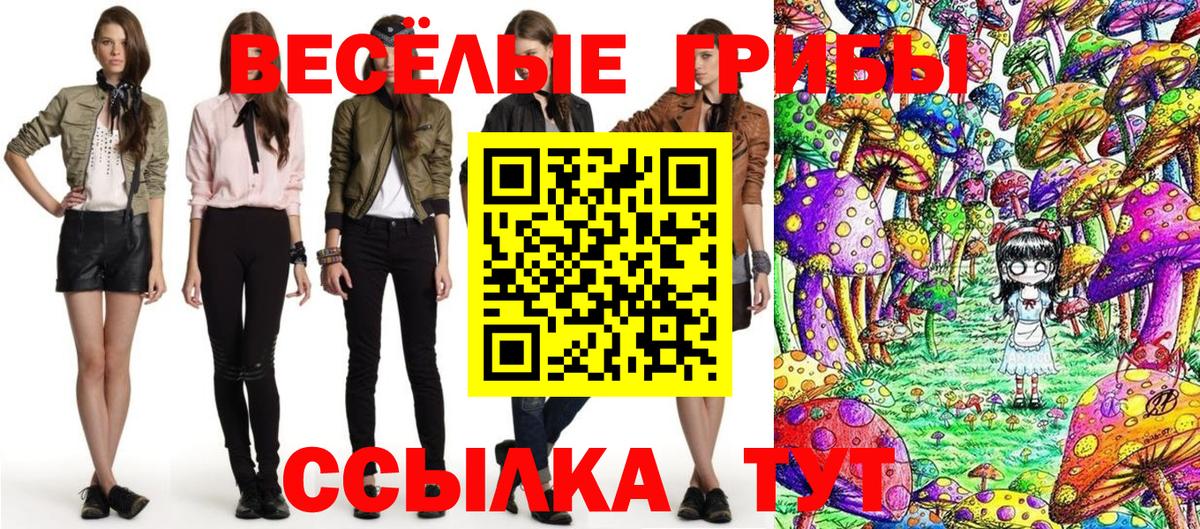 Галлюциногенные грибы Psilocybe Анжеро-Судженск