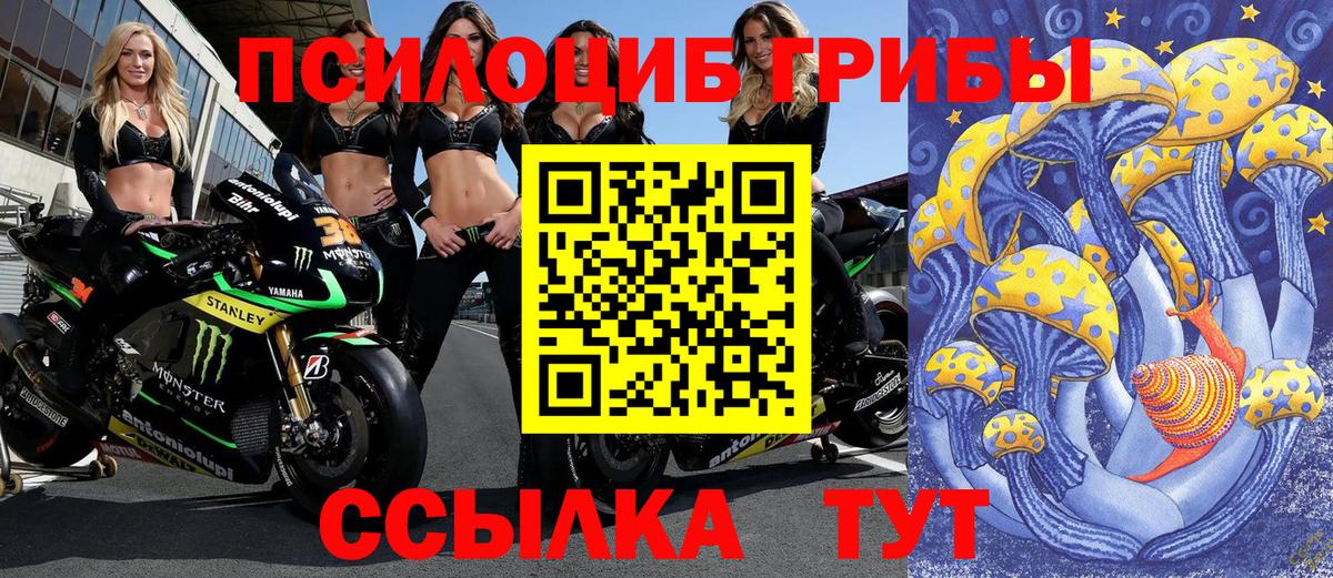 Галлюциногенные грибы GOLDEN TEACHER  Галлюциногенные грибы прущие грибы  Анжеро-Судженск  Вход с VPN 